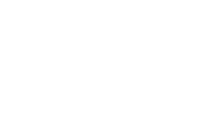 Surulintu
